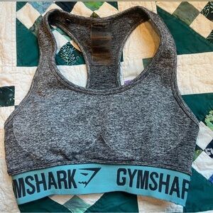 Gymshark Heathered Gray Sports Bra with Teal Band